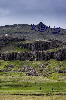 义姐小说 （燕雀安知鸿鹄志）