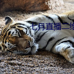七月直播二维码