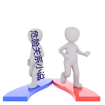 危險關系小說