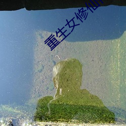 重生(生)女修仙传