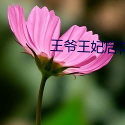 王爷王妃后花园含乳h