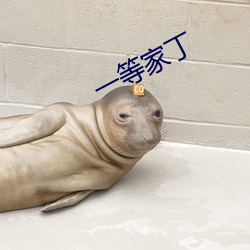 一等(děng)家丁(dīng)