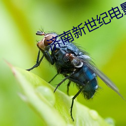 济南新世纪电影院