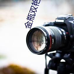 金瓶双艳外传