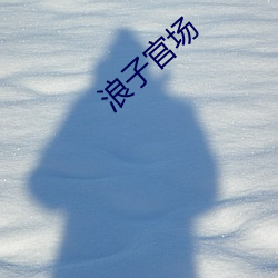 浪子官(guān)场(chǎng)