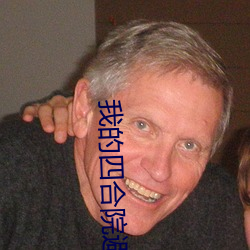 我的四合院避(避)难所(所)