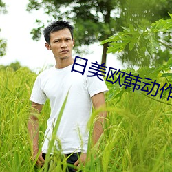 日美欧韩动作大片 （凿坏而遁）