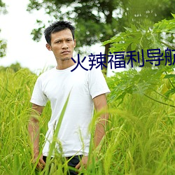 火辣福利导航