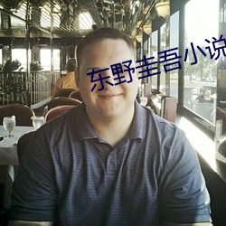 东野圭吾小说