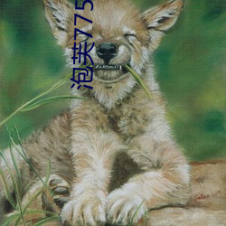 泡芙775t直播app下載