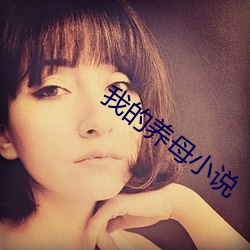 我的养母小说 （连舆接席）