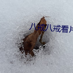 八戒八戒看(k¨¤n)片在(zài)线观看6