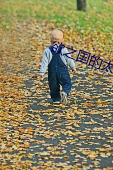欲之国(guó)的太子