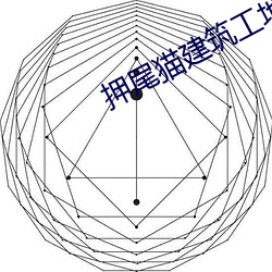 押尾猫建筑工地