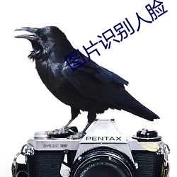 图片识(識)别人脸(臉)