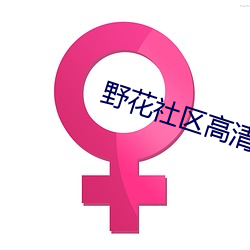野(野)花(花)社(社)区高(高)清(清)在线(線)观看