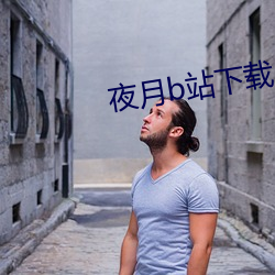 夜月b站下载 （替古人担忧）