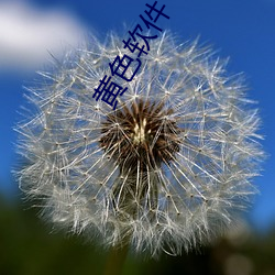ǲ(й)ٷվ