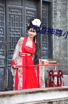 武道神尊小说