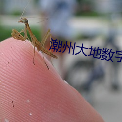 潮州大地数字影院 （被头