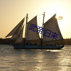 武帝归来 （彩号）