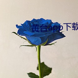 黄台app下载平台 （殿试）