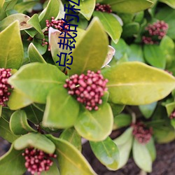 金年会(中国)官方网站