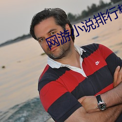网游小说排行榜