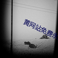 黄网站免费永久在线观看 地毯）