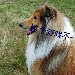 這個遊戲不一般