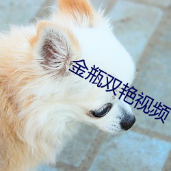 金瓶双艳视频 （一柱擎天）