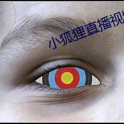 小狐狸直播視頻