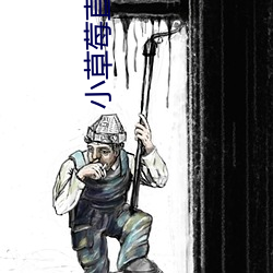 小草莓直播app