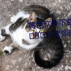 ɫ3.0.3ξƷһ۰ٶ(y)v1.1