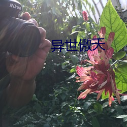 異世傲天