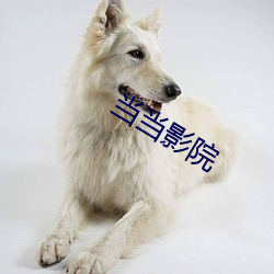當當影院
