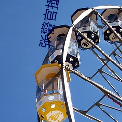 张警官撞玻璃(张警官撞玻璃视频那里有看bilibili)