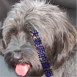 夫妻俩的直播
