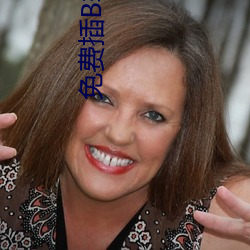 免费插(插)B软(軟)件