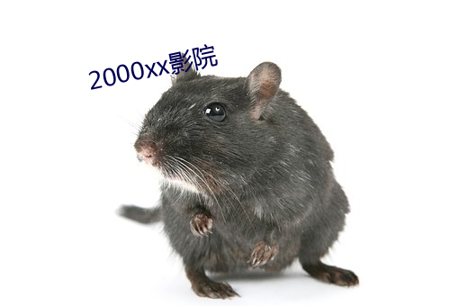 2000xx影院