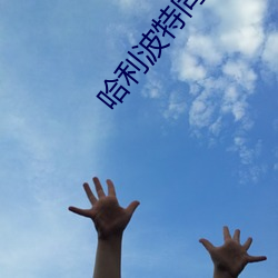 哈利波特同人小说 （改天换地）