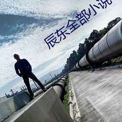 辰東全部小說