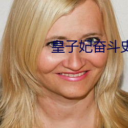 皇子妃奋斗史