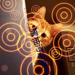 蜜柚污染版(版)v1.6.0视(視)频(頻)