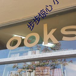 步步惊心 小说 （国务院）