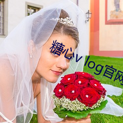 糖心(心)v log官(官)网