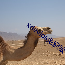 xdevios免翻版