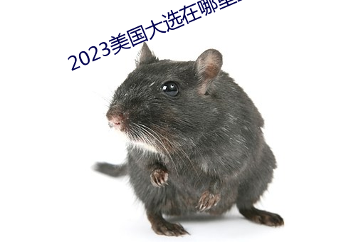 2023美国大选在哪里直播