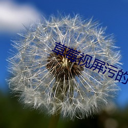 草莓视屏污的