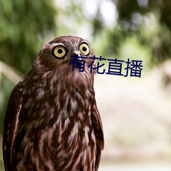有花直播